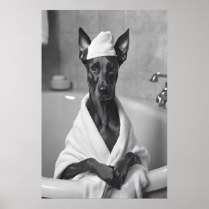 Poster Doberman em Robe de Banho, Arte Engraçada de Banhe