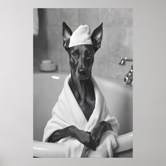 Poster Doberman in Bathrobe, Funny Bathroom Art (Frente)