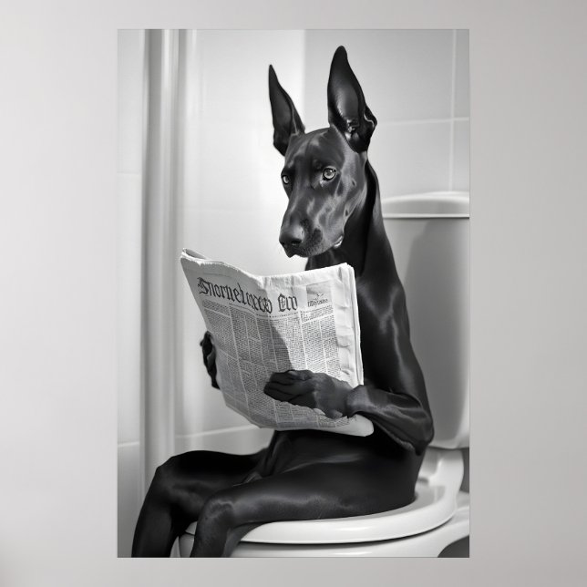 Poster Doberman on Toilet, Newspaper, Funny Bathroom Art (Frente)