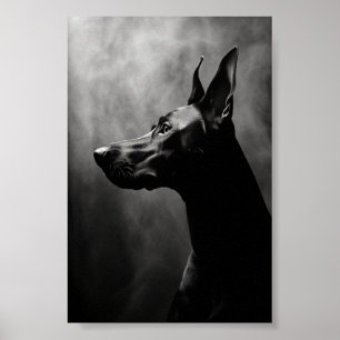 Poster Doberman Pinscher Black and White