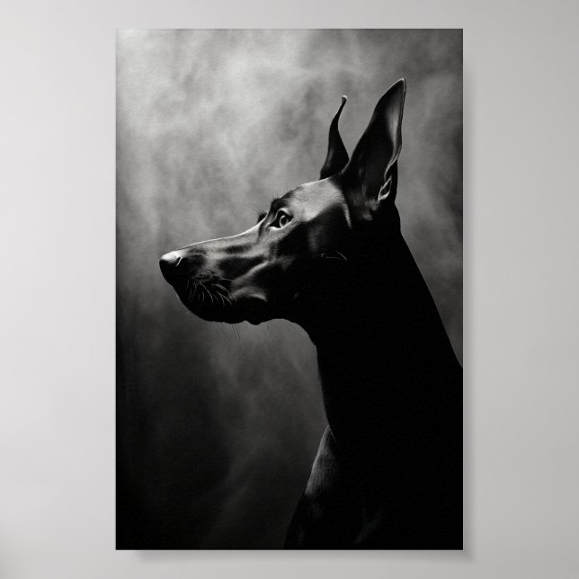 Poster Doberman Pinscher Black and White (Frente)