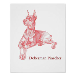 Pôster Doberman Pinscher Pencil Drawing Portrait Poster