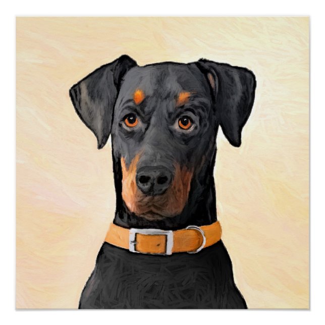 Pôster Doberman Pinscher Pintura Original Descortada (Frente)