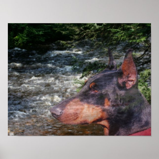 Pôster Doberman Pinscher River Tree Fantasy Art (Frente)