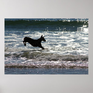 Pôster Doberman - preto - pulo do oceano