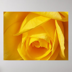Poster Dobras do amarelo