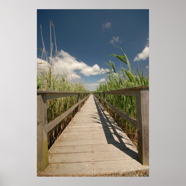 Poster doca privada (Frente)