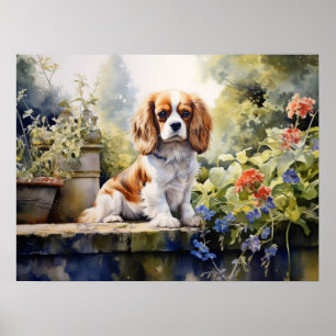 Poster Doce Cavalier Spaniel Jovem