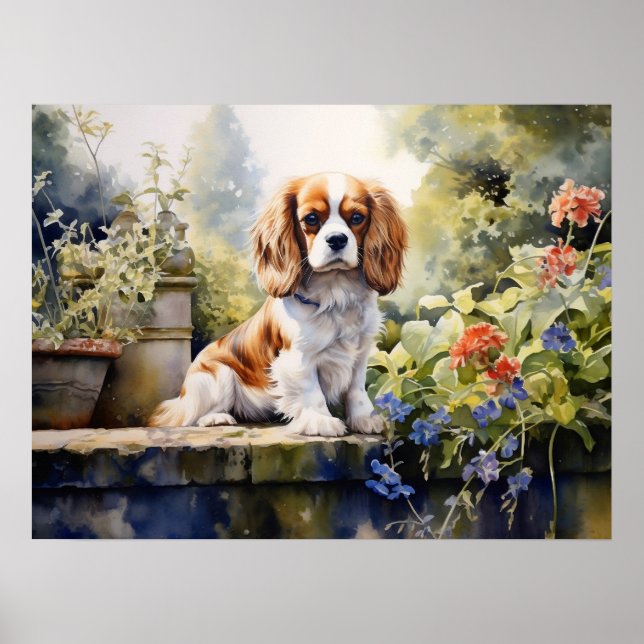 Poster Doce Cavalier Spaniel Jovem (Frente)