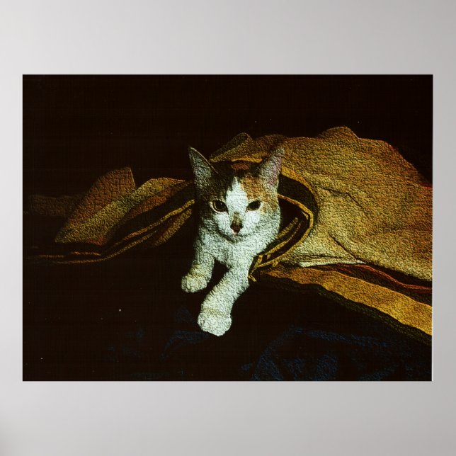 Poster Doce como um gatinho (Frente)