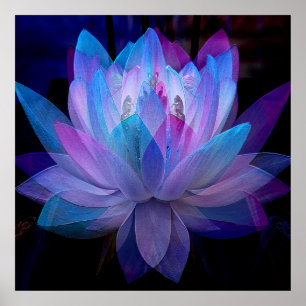 Poster Doce Lotus....