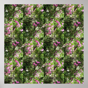 Poster Doces deliciosos....