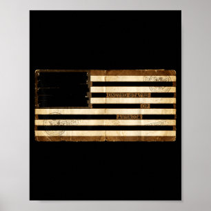 Poster Documentos censurados bandeira americana _ estados