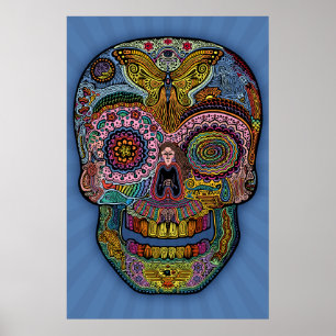 Poster Dod Sk511 - cor