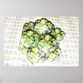 Pôster Dodecaedro estelado Fractal