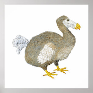 Pôster Dodo Bird Trabalho de arte