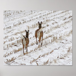 Poster Doe and Yearling em Snowy Cornfield II