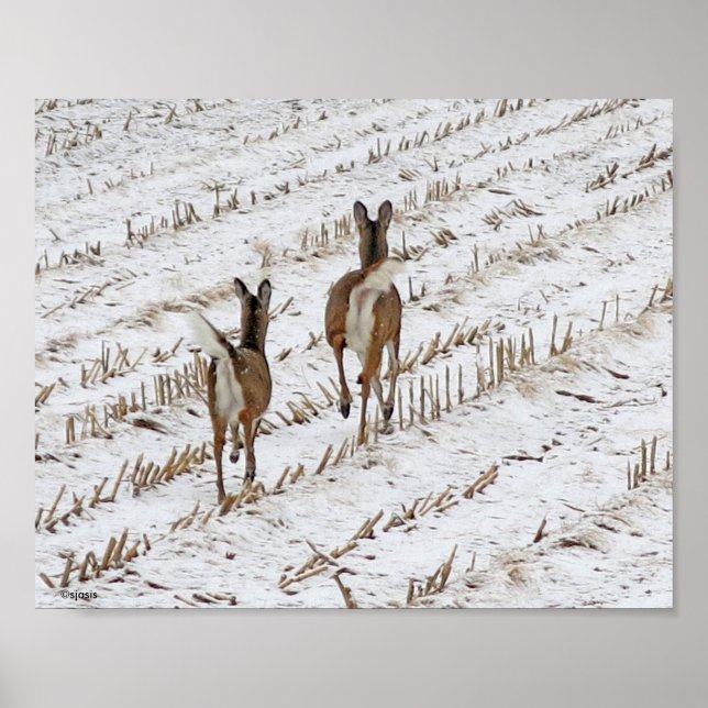 Poster Doe and Yearling em Snowy Cornfield II (Frente)