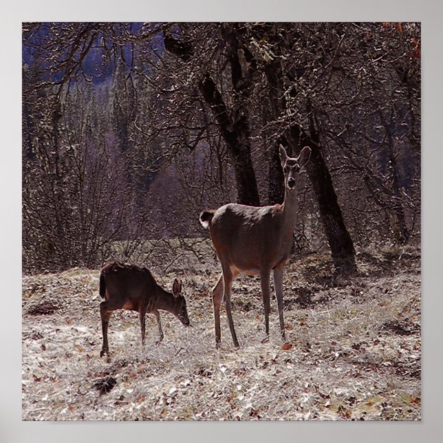 Poster Doe e fawn..... (Frente)