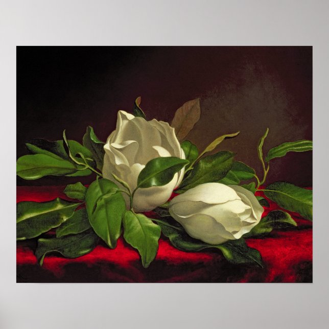 Poster Doenças do (Frente)