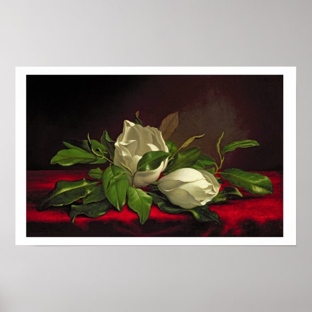 Poster Doenças do (Frente)