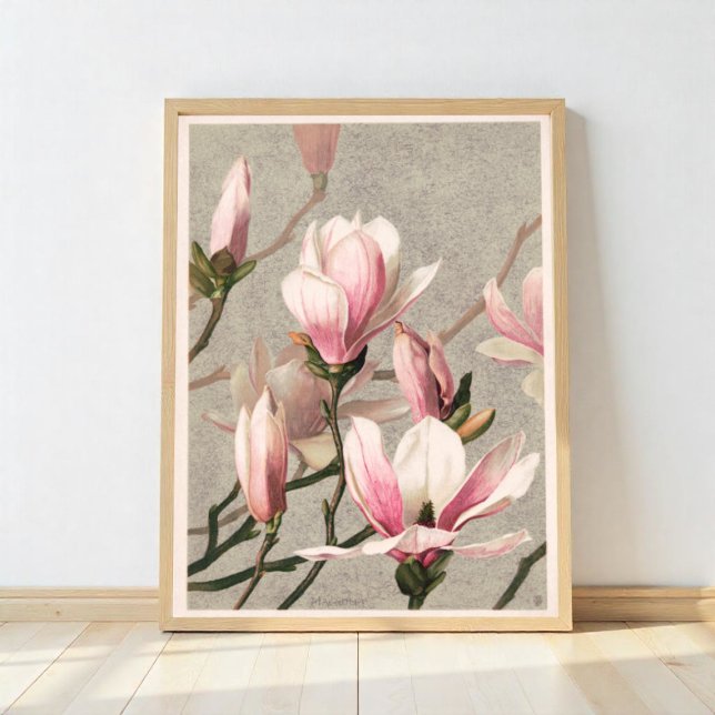 Poster Doenças do (Criador carregado)