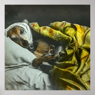 Poster Doente como canino Vintage Lanterna Mágica