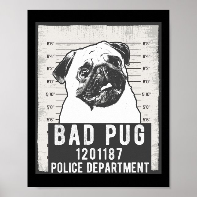 Poster Dog Mug Shot Criminal Pug (Frente)