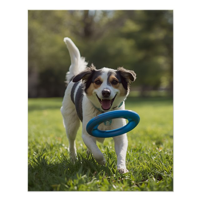 PÔSTER DOG POSTER (Frente)