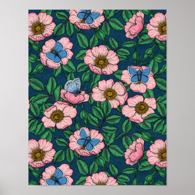 Poster Dog rose and butterflies (Frente)