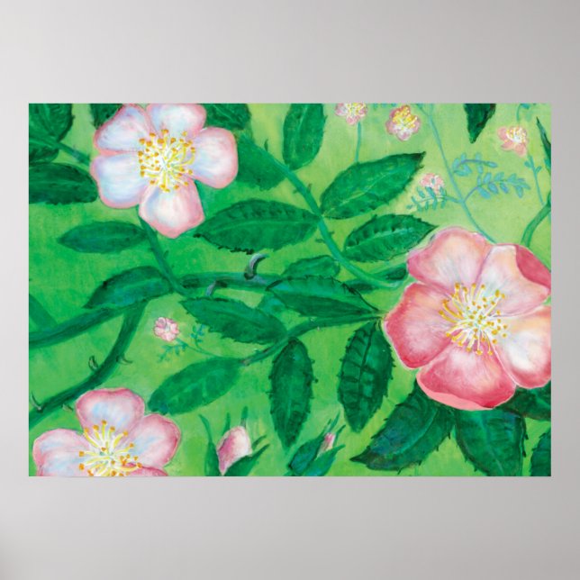 Poster Dog Rose (Rosa Canina) (Frente)