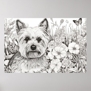 Poster Dog Yorkshire Terrier Peaceful Nature Pet