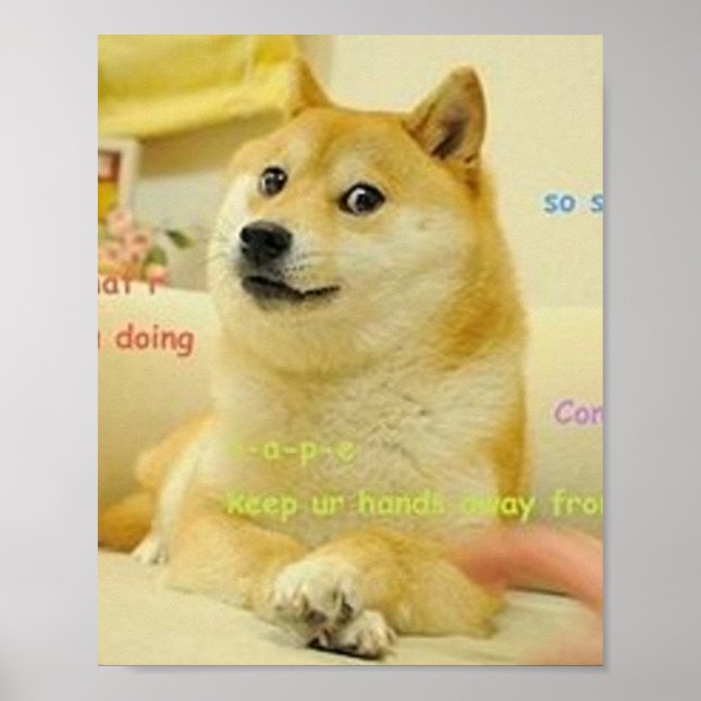 Poster Doge Meme (Frente)