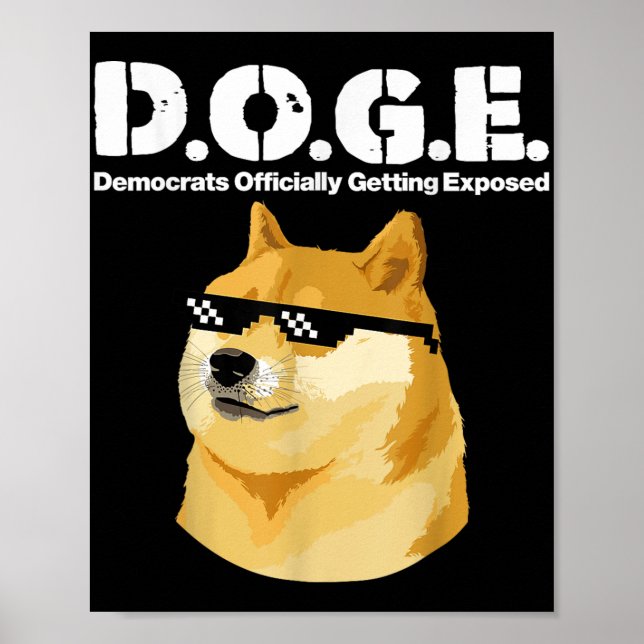 Poster Doge Meme Democrats Oficialmente Expostos D.o (Frente)