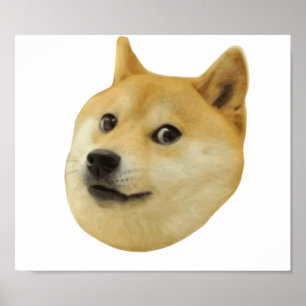 Pôster Doge muito wow muito cão tal Shiba Shibe Inu
