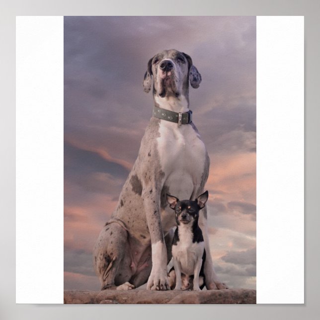 Poster Dogge+Chihuahua (Frente)