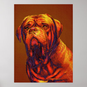 Pôster dogue de Bordéus