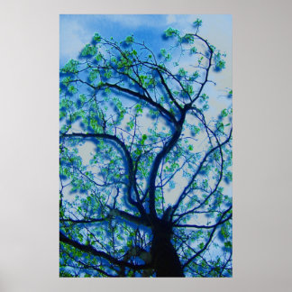 Pôster Dogwood Rendition III