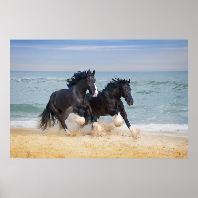 Poster Dois Belos Cavalos De Shire Correndo Ao Longo Da P (Frente)
