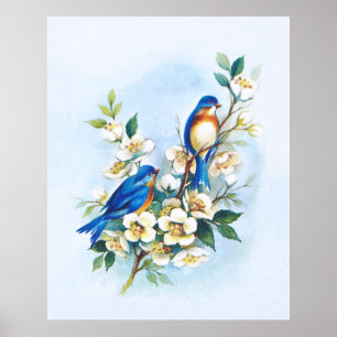 Poster Dois Bluebirds