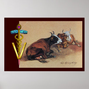 POSTER DOIS BOVINOS DEITADOS SÍMBOLO VETERINÁRIO CADUCEO 