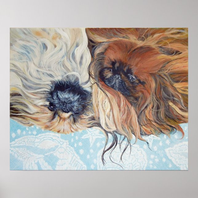 Poster Dois Cães Pequinês (Frente)