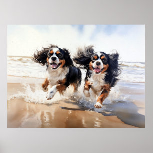 Poster Dois Cavalier King Charles Spaniels