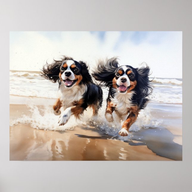 Poster Dois Cavalier King Charles Spaniels (Frente)