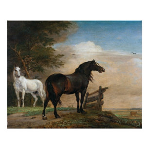 Pôster Dois Cavalos em pasto