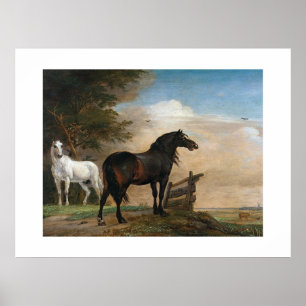 Poster Dois Cavalos em pasto