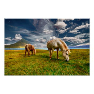 Pôster Dois Cavalos Grazing em Pasture