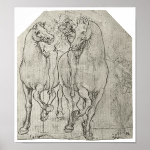 Poster Dois Cavalos, Leonardo Da Vinci
