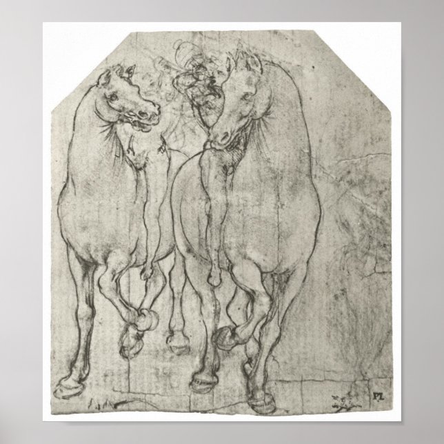 Poster Dois Cavalos, Leonardo Da Vinci (Frente)