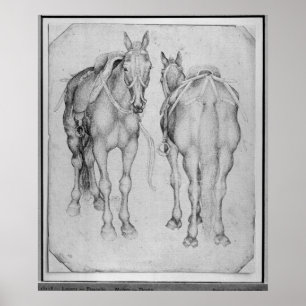 Pôster Dois cavalos, o do álbum de Vallardi